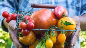 ways-to-enjoy-tomatoes