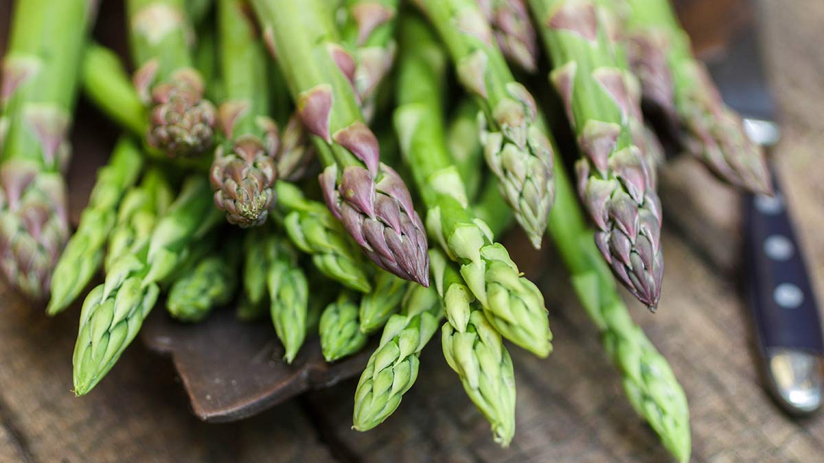 how-asparagus-grows