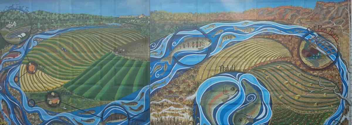 trout-farming-mural