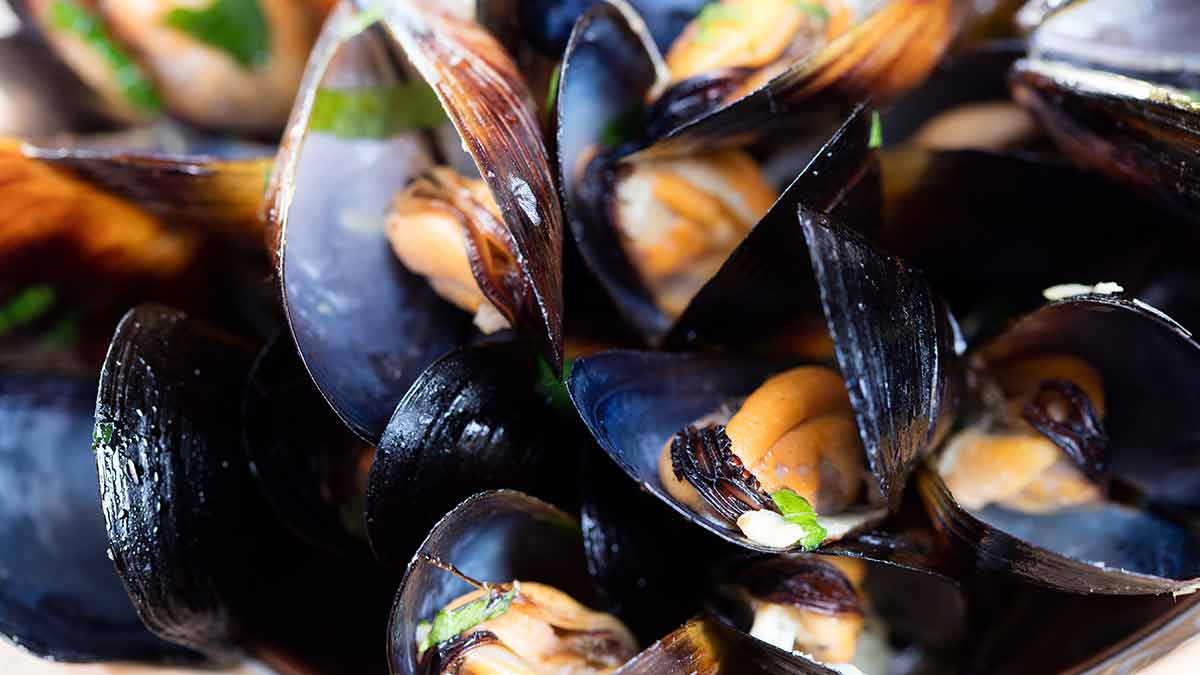 mussels-on-plate