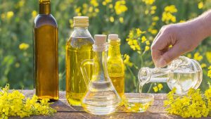how to make canola oil